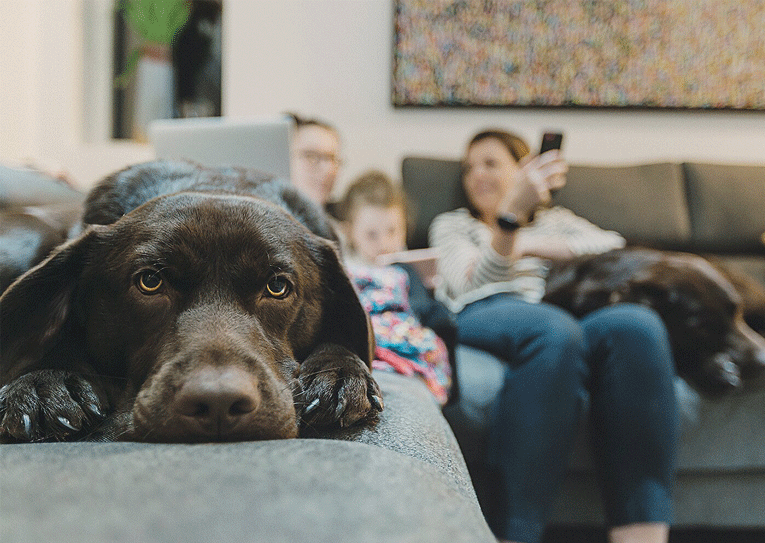 خانه و زندگی